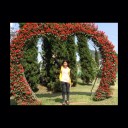 สมาชิกหมายเลข 2174319