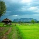 สมาชิกหมายเลข 927332