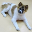 อีหล่าคำแพง