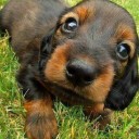 สมาชิกหมายเลข 1334631