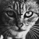 สมาชิกหมายเลข 2569586