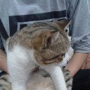 สมาชิกหมายเลข 3424067