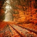 สมาชิกหมายเลข 933246