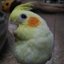 สมาชิกหมายเลข 2047710