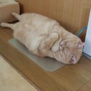 ดนตรีนั้นเล่นอยู่