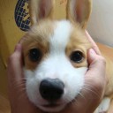 สมาชิกหมายเลข 823194