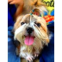 สมาชิกหมายเลข 933811