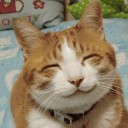 สมาชิกหมายเลข 1335342