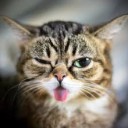 สมาชิกหมายเลข 1257510