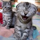 สมาชิกหมายเลข 849650