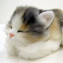 สมาชิกหมายเลข 1336382