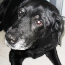 สมาชิกหมายเลข 895126