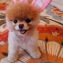 สมาชิกหมายเลข 2571347