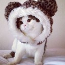 สมาชิกหมายเลข 1504818