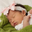 สมาชิกหมายเลข 816590