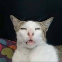 สมาชิกหมายเลข 3193471