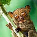 สมาชิกหมายเลข 868189