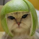 สมาชิกหมายเลข 935857