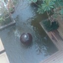 สมาชิกหมายเลข 2158904