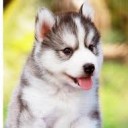 สมาชิกหมายเลข 3426623