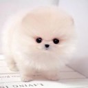 บันไดดาว