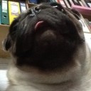 กำไรเจ้าคะ