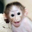 สมาชิกหมายเลข 1337558