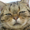 สมาชิกหมายเลข 953379