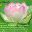 สมาชิกหมายเลข 2133353