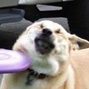 สมาชิกหมายเลข 2573000