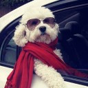 สมาชิกหมายเลข 712513