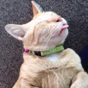 ก่อนจะสายเกินไป