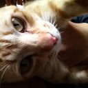 สมาชิกหมายเลข 1765589