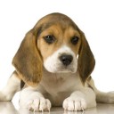 สมาชิกหมายเลข 2139791