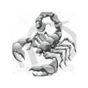 สมาชิกหมายเลข 937307