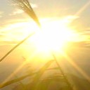 สมาชิกหมายเลข 1339361