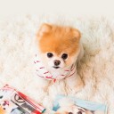 โซระโก๊ะจัง