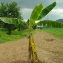 สมาชิกหมายเลข 1926474