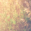 สมาชิกหมายเลข 1987553