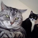 สมาชิกหมายเลข 2178852