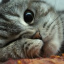 สมาชิกหมายเลข 2573473