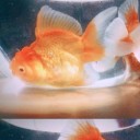 สมาชิกหมายเลข 2573769