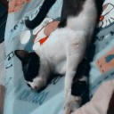 ลำโพงจิ๋ว