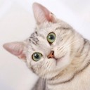 สมาชิกหมายเลข 3064319