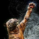 สมาชิกหมายเลข 860665