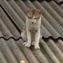 สมาชิกหมายเลข 900844