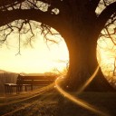 สมาชิกหมายเลข 1795772