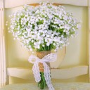 สมาชิกหมายเลข 1854111