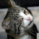 คนดีคนเดิมเพิ่มเติมค่อยบอก