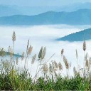 สมาชิกหมายเลข 2361947